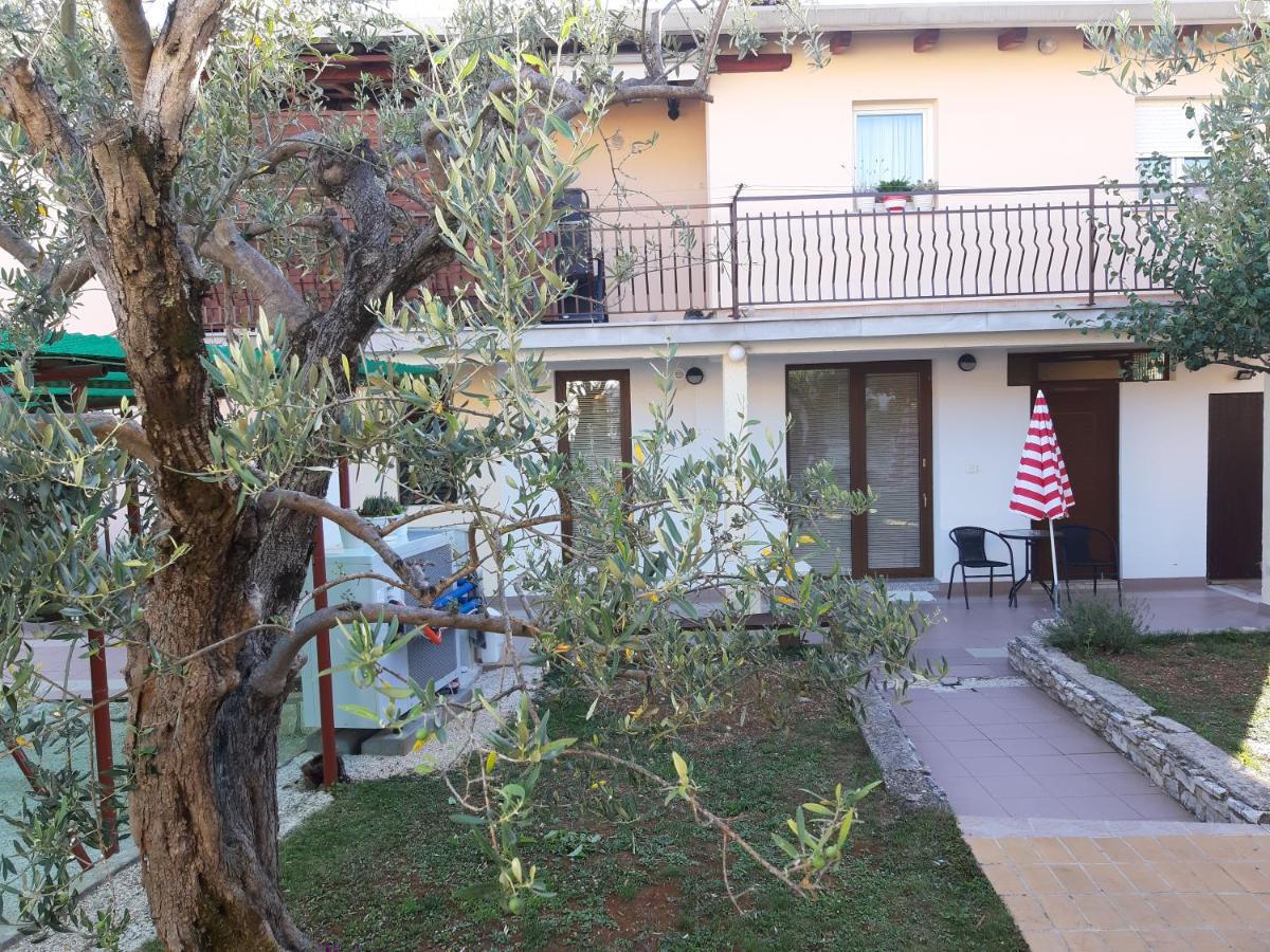 Studio Rocco Novigrad Istria エクステリア 写真